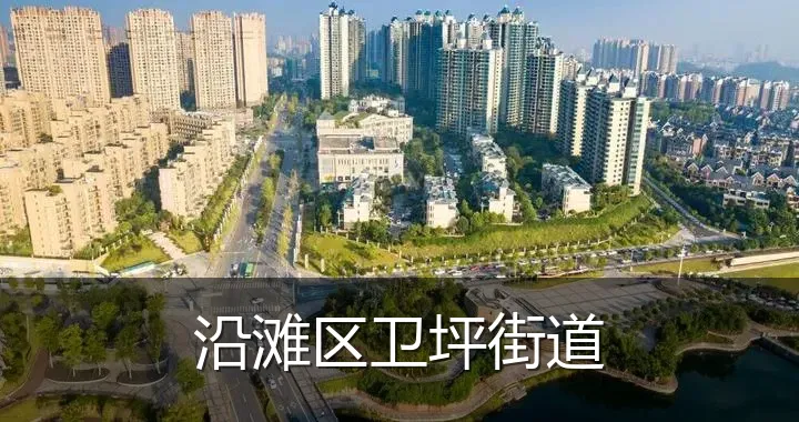 沿滩区卫坪街道